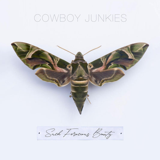 Cowboy Junkies - Such Ferocious Beauty [CD] [New CD]