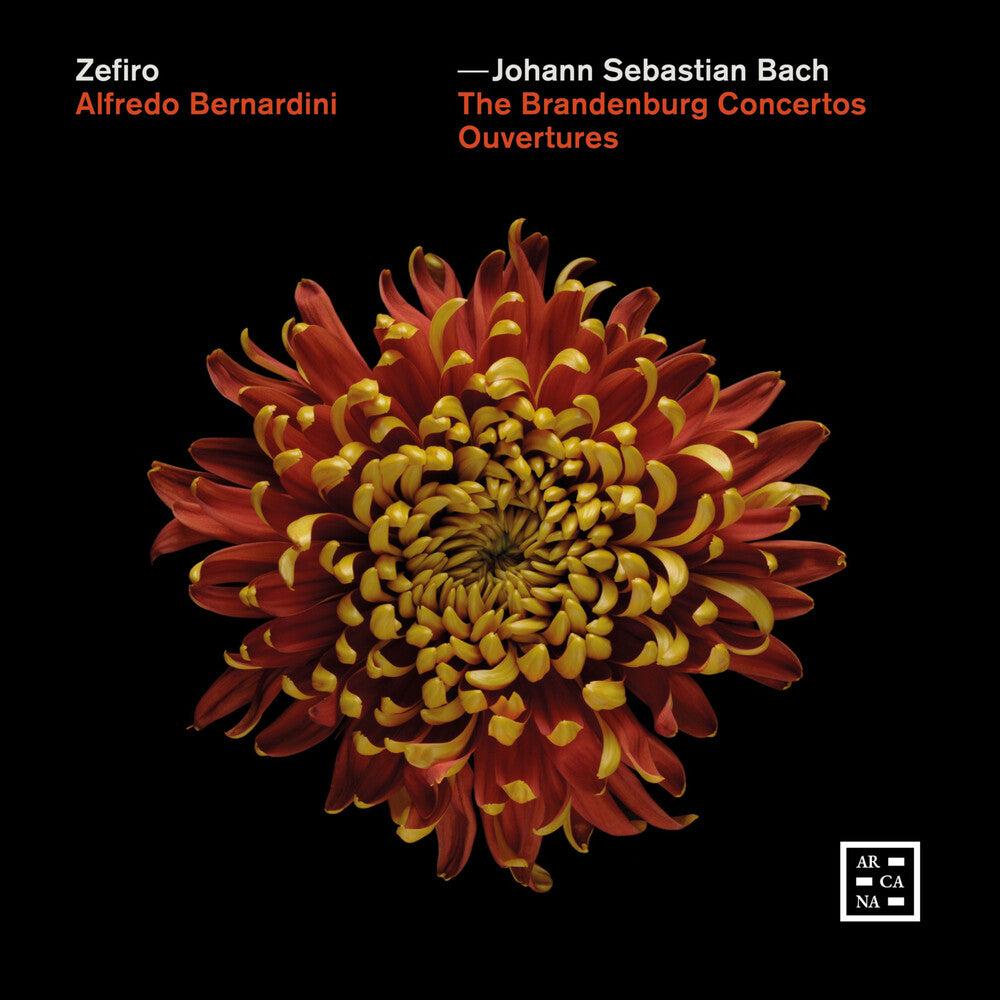 J Bach .S. / Bernardini - Brandenburg Concertos - Ouvertures [CD]