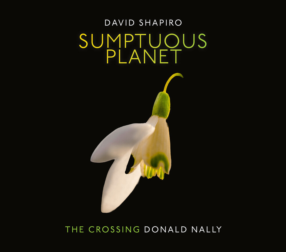 Shapiro / Crossing - Sumptuous Planet Music CD