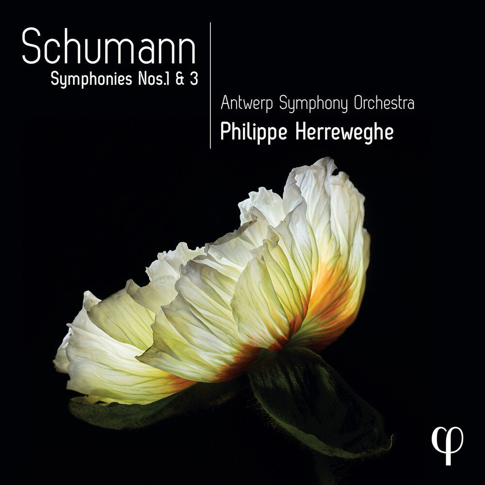 Schumann / Herreweghe / Antwerp Symphony Orch - Symphonies Nos. 1 & 3 Music CD