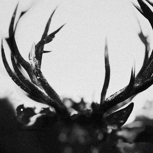 Ihsahn - Ihsahn [CD] [New]