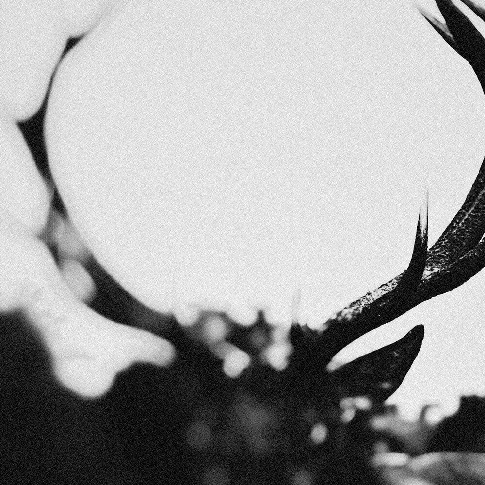 Ihsahn - Ihsahn (Orchestral Version) [LP] Vinyl Record