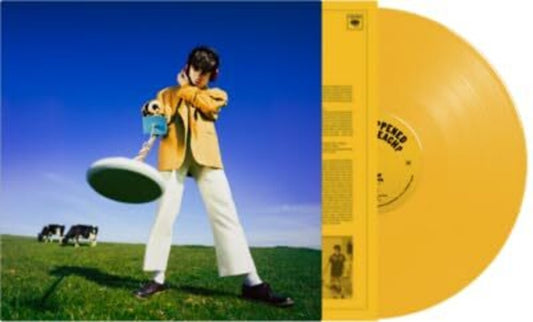 Declan McKenna - What Happened To The Beach? [Colored Vinyl] (Ylw) [Indie Exclusive] [New Vinyl]