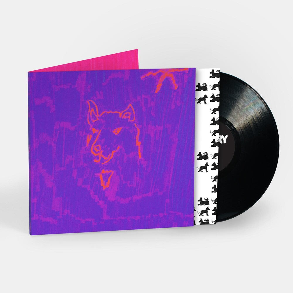 Dehd - Poetry [LP] Vinyl Record