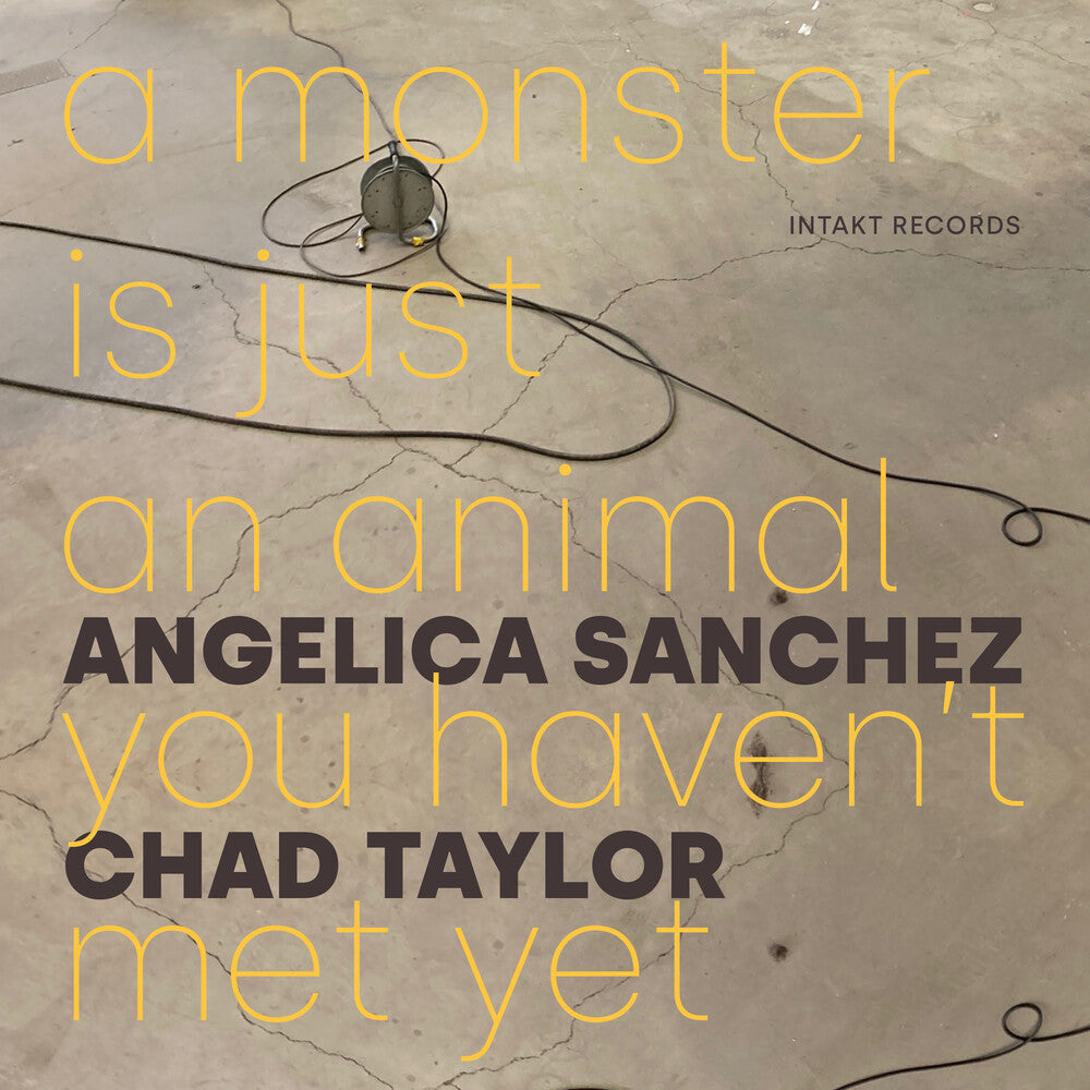 Angelica Sanchez - Monster Is Just An Animal You Haven't Met Yet Music CD