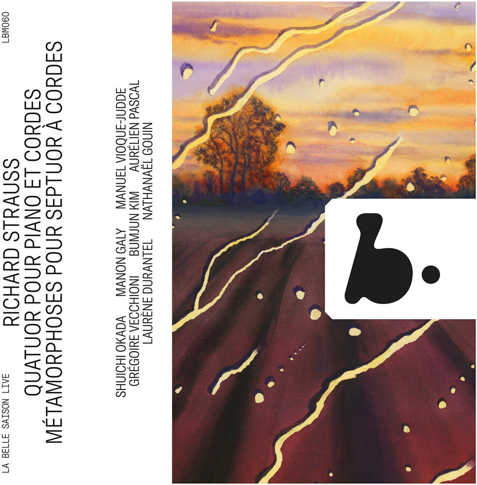 Strauss / Gouin / Durantel - Quatuor Pour Piano Et Cordes - Metamorphoses Music CD