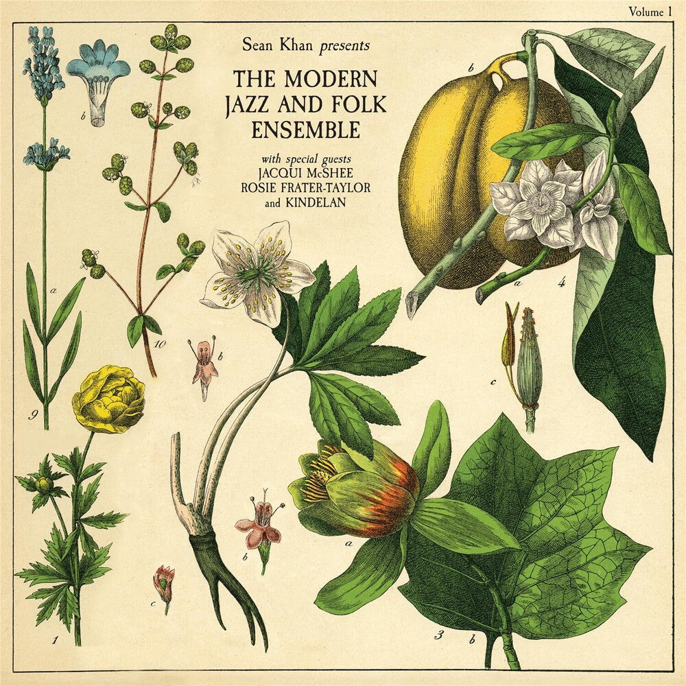 Sean Khan - Sean Khan Presents The Modern Folk & Jazz Ensemble [LP] Vinyl Record