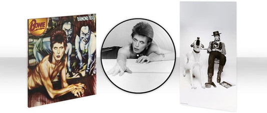 David Bowie - Diamond Dogs (50th Anniversary Picture Disc) [LP] [New Vinyl]