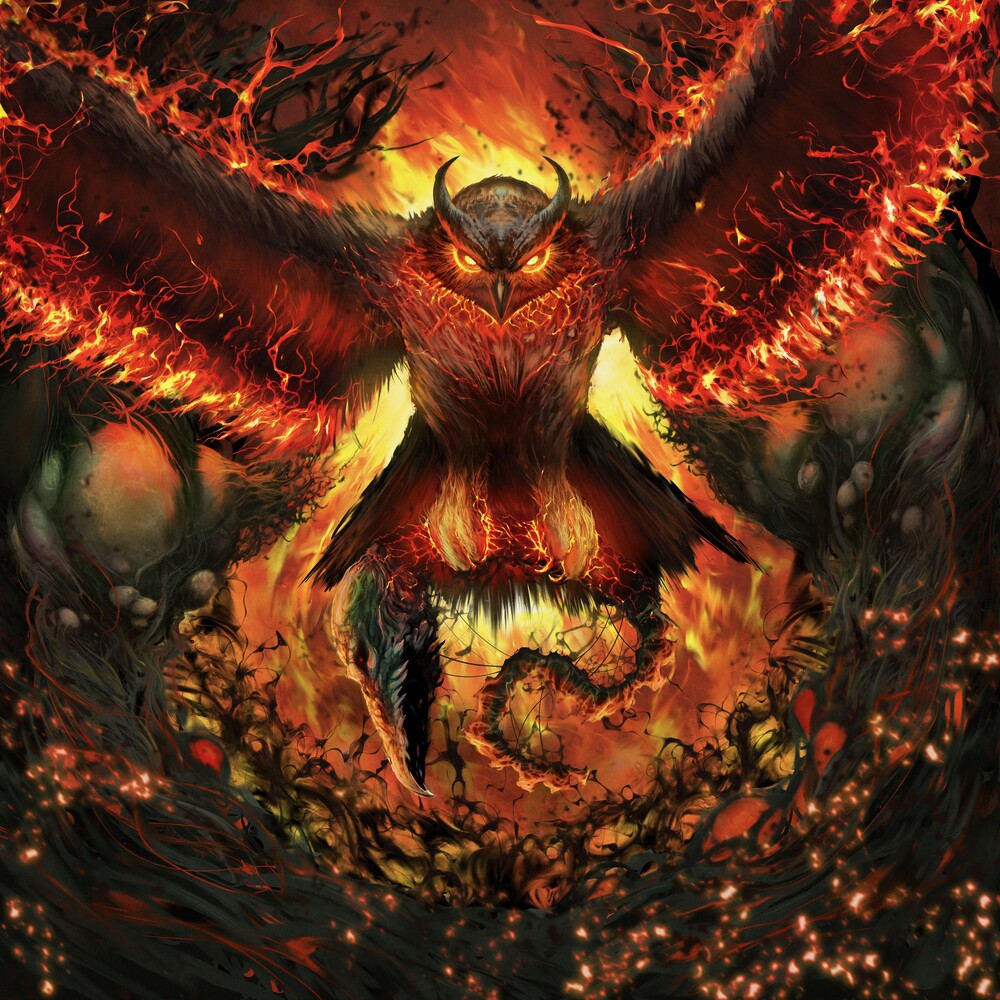 Rad Owl - Rage Gracefully [LP] Vinyl Record