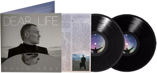 David Gray - Dear Life [LP] [New Vinyl]