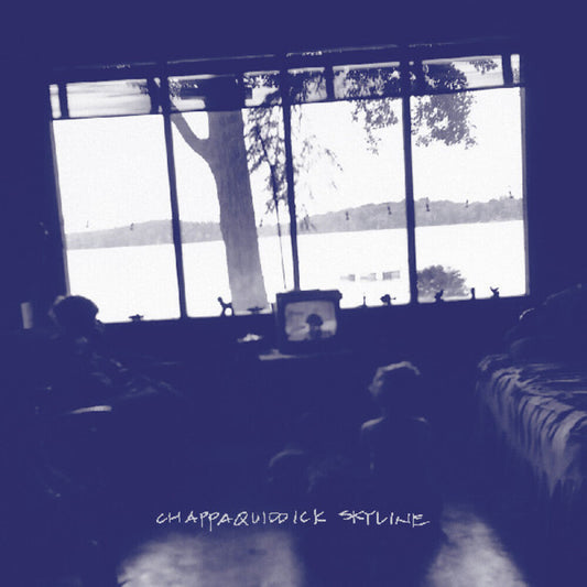 Pernice Brothers - Chappaquiddick Skyline [Limited Edition Clear Vinyl] [New Vinyl]