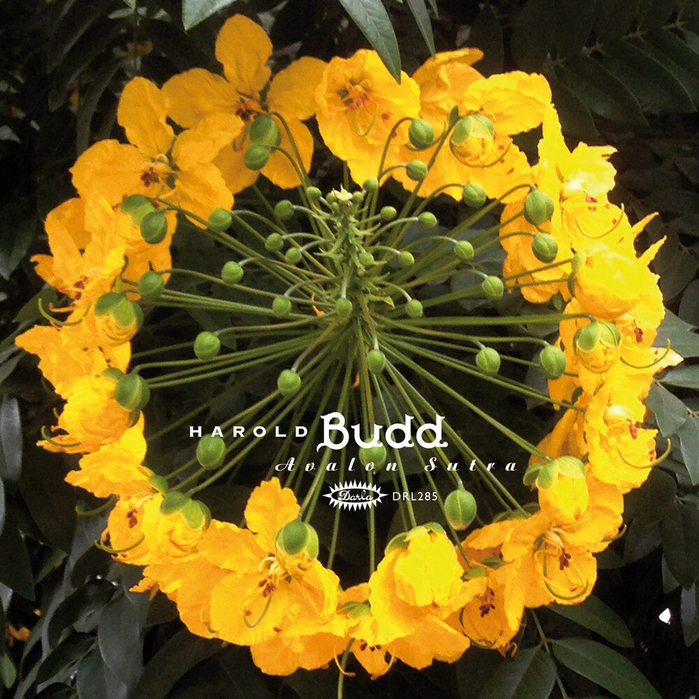 Harold Budd - Avalon Sutra (Bonus Cd) [Limited Edition] [New Vinyl]