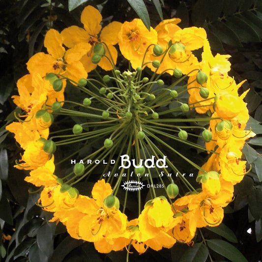 Harold Budd - Avalon Sutra (Bonus Cd) [Limited Edition] [New Vinyl]