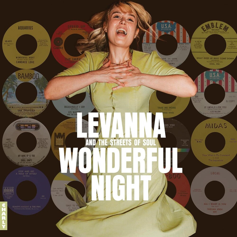 Wonderful Night Curated by Levanna / Various - Wonderful Night Curated By Levanna / Various [CD]