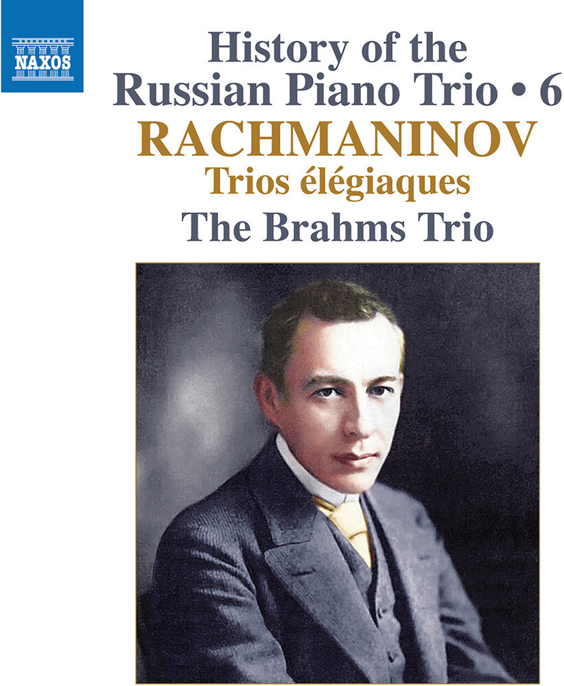 Brahms Trio - History Of The Russian Pno Trio Vol. 6 / Trios [CD] [New CD]