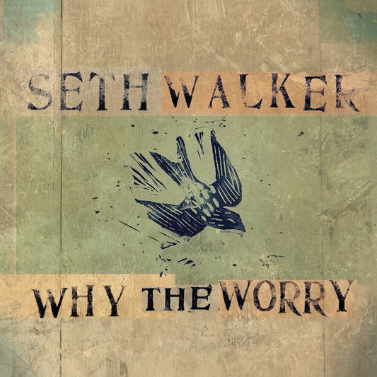 Seth Walker - Why The Worry [CD] [New CD]