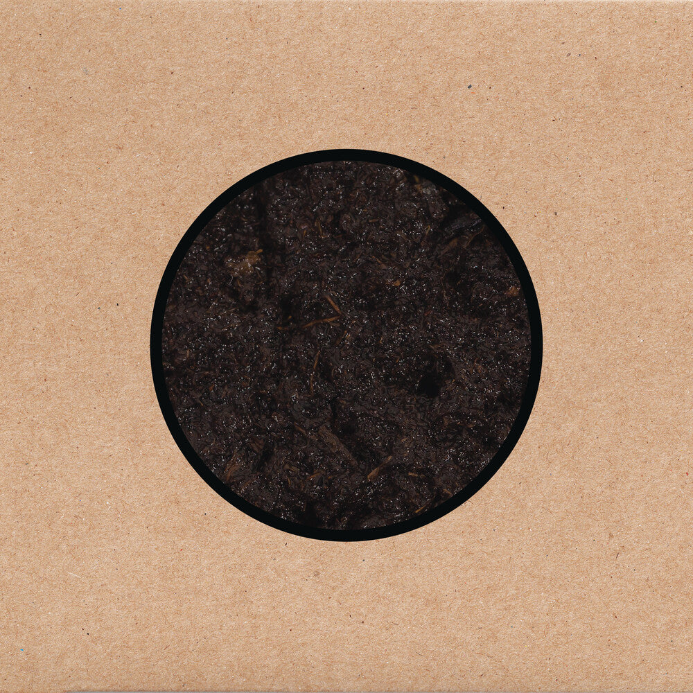 Swans - Birthing [LP] [New Vinyl]