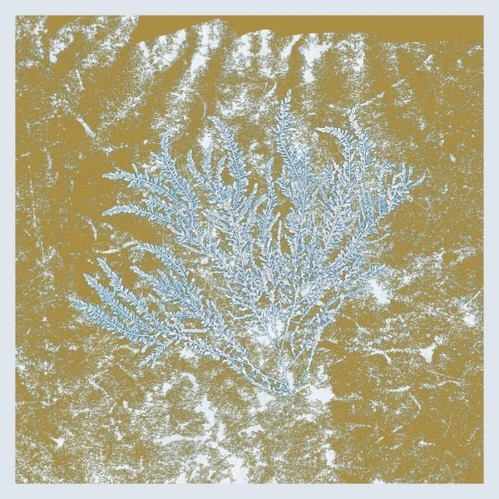 Huerco S - For Those Of You Who Have Never [LP] Vinyl Record