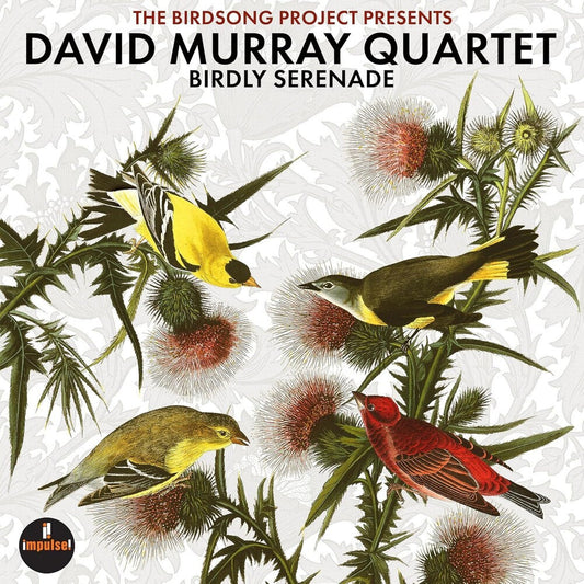 Murray, David - Birdly Serenade [CD] [New CD]