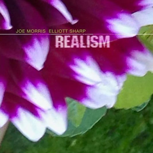 Joe Morris  / Sharp,Elliott - Realism [CD] [New CD]