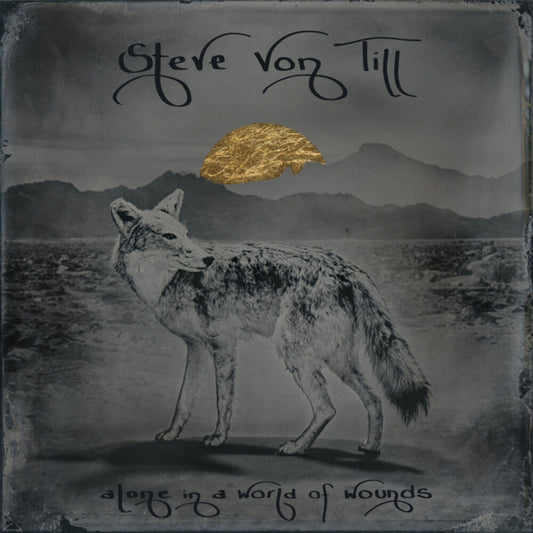 Von Till, Steve - Alone In A World Of Wounds [CD] [New CD]