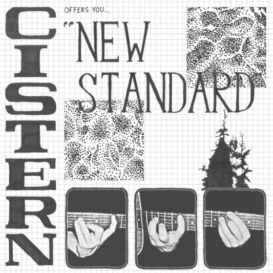Cistern - New Standard [LP] [New Vinyl]