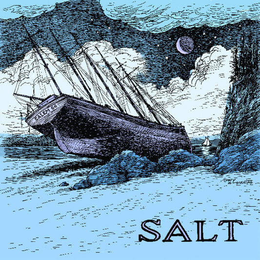 Salem 66 - Salt [CD] [New CD]