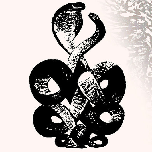 Bardo Pond - Volume 4 & 5 (Gate) [Download Included]