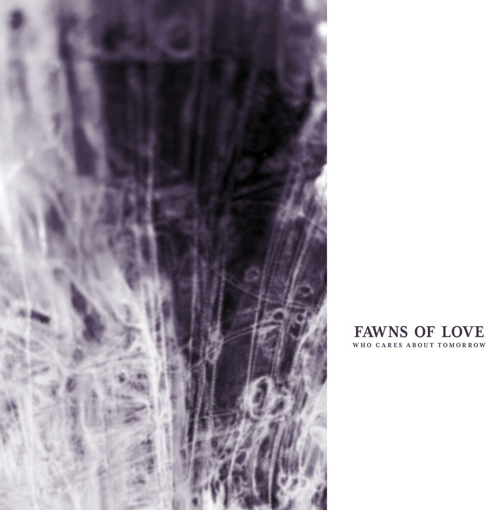 Fawns of Love - Who Cares About Tomorrow [Remastered] [New Vinyl]