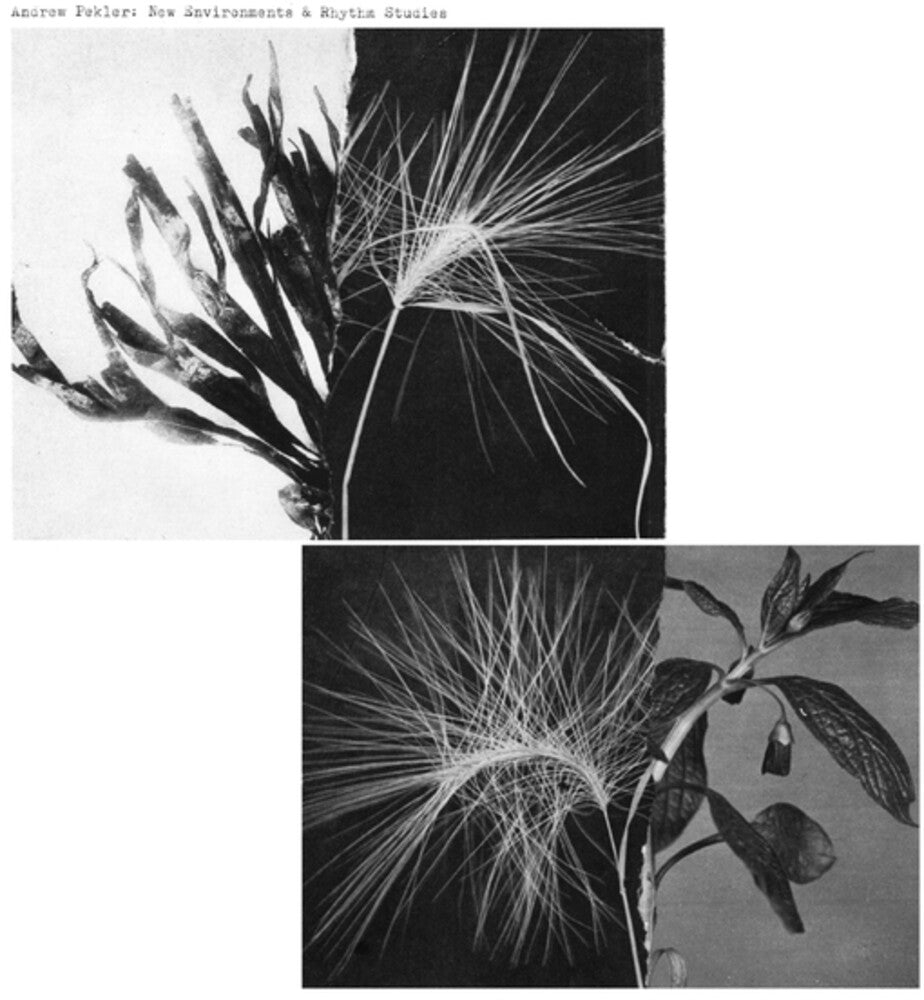 Pekler, Andrew - New Environments And Rhythm Studies [LP] [New Vinyl]
