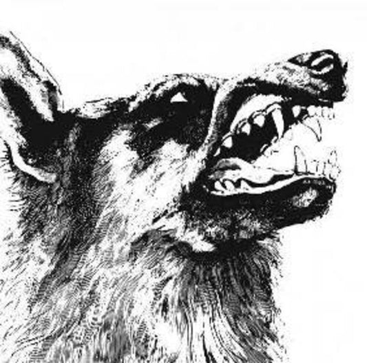 Crippled Black Phoenix - I Vigilante (Ofgv) (Uk) [LP] [New Vinyl]