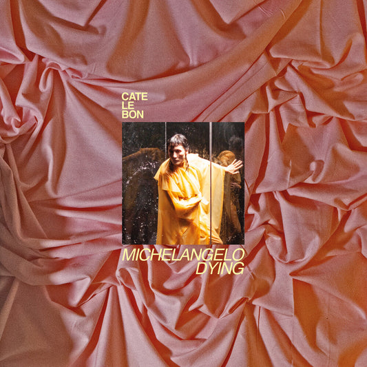 Cate Le Bon - Michelangelo Dying [CD] [New CD]