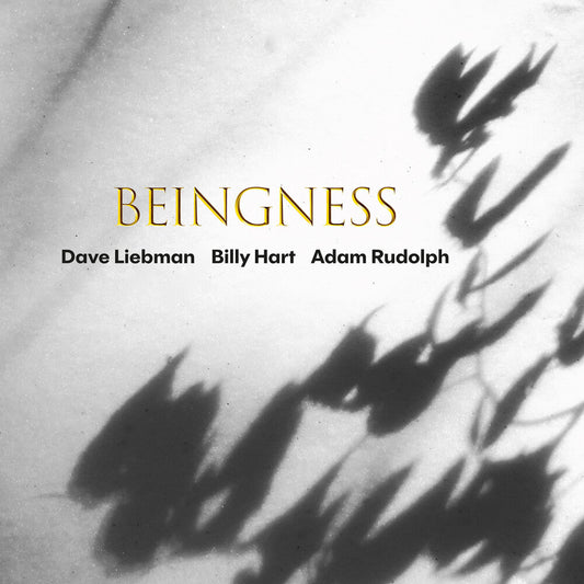 Dave Liebman  / Hart,Billy / Rudolph,Adam - Beingness [CD] [New CD]