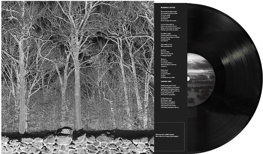 Pile - Sunshine & Balance Beams [LP] [New Vinyl]