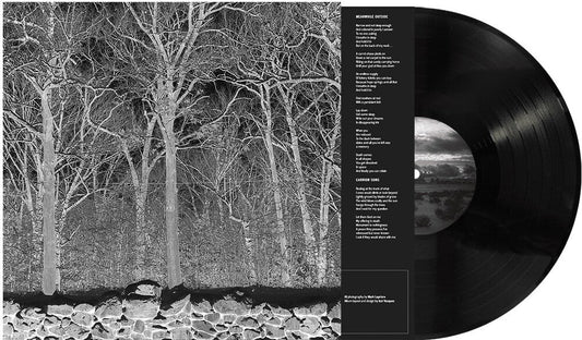 Pile - Sunshine & Balance Beams [LP] [New Vinyl]
