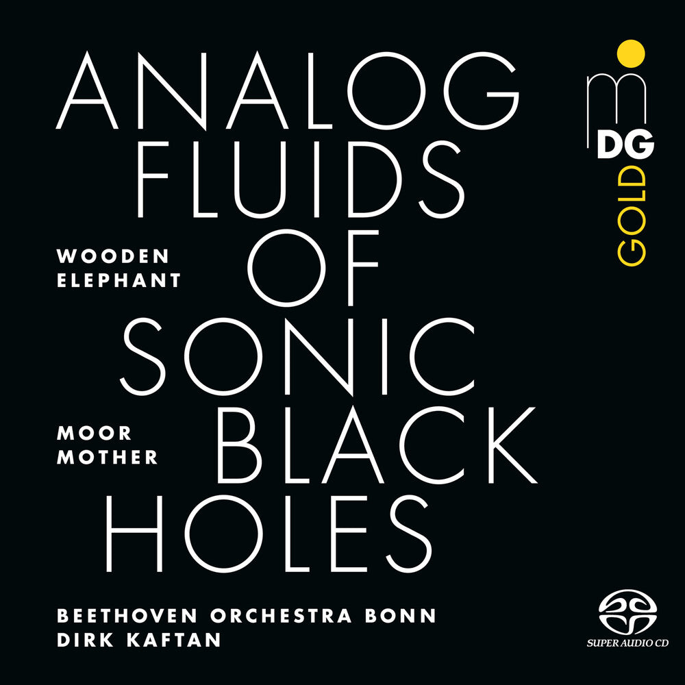 Moor Mother - Analog Fluids Of Sonic Black Holes [CD] [New CD]
