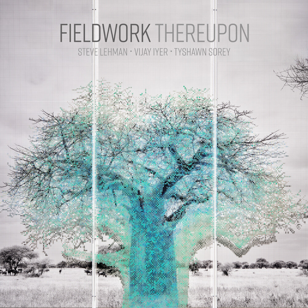 Fieldwork - Thereupon [LP] [New Vinyl]