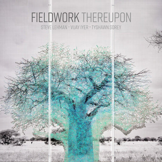 Fieldwork - Thereupon [LP] [New Vinyl]