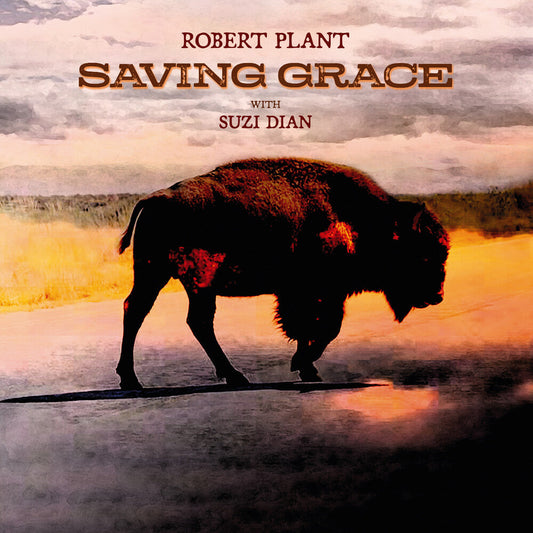 Robert Plant - Saving Grace [CD] [New]
