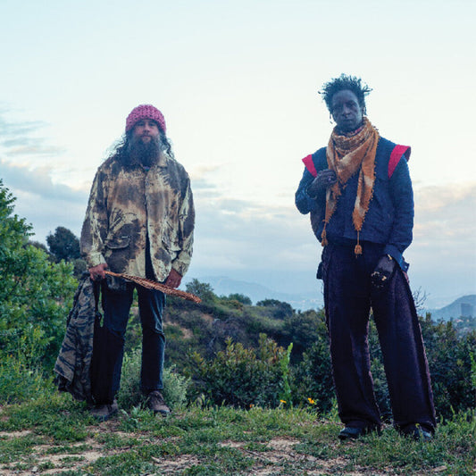 Saul Williams  / Nino,Carlos - Saul Williams Meets Carlos Nino & Friends At (Grn) [LP] [New Vinyl]