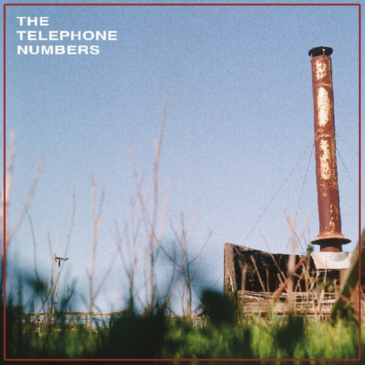 Telephone Numbers - Scarecrow Ii [Clear Vinyl] (Grn) [Download Included] [New Vinyl]