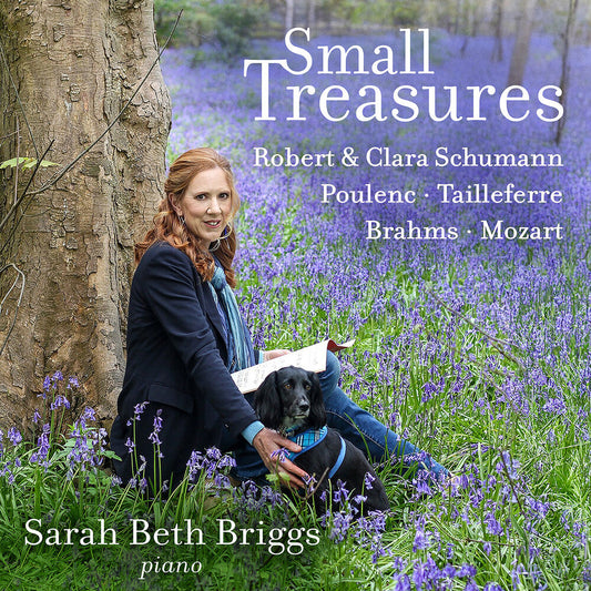 Sarah Briggs - Small Treasures [CD] [New CD]