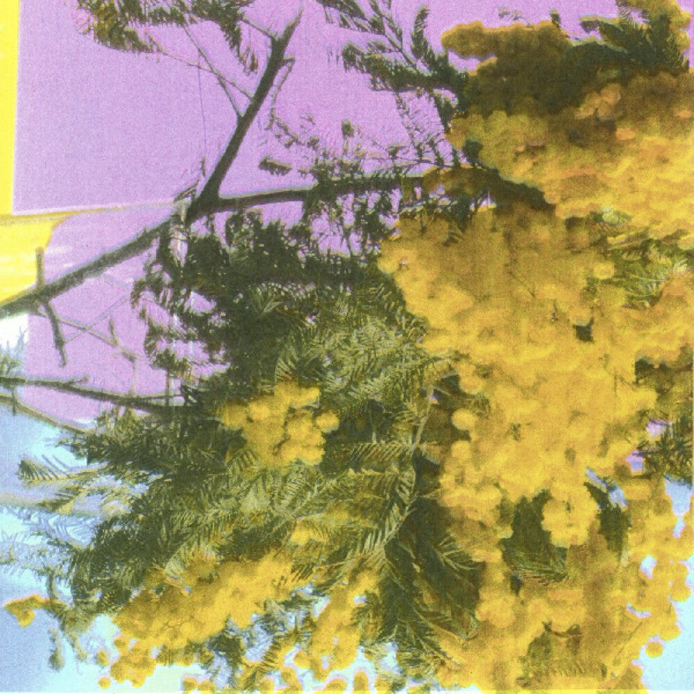Four Tet - Into Dust (Still Falling) (Ep) [Indie Exclusive] [New Vinyl]