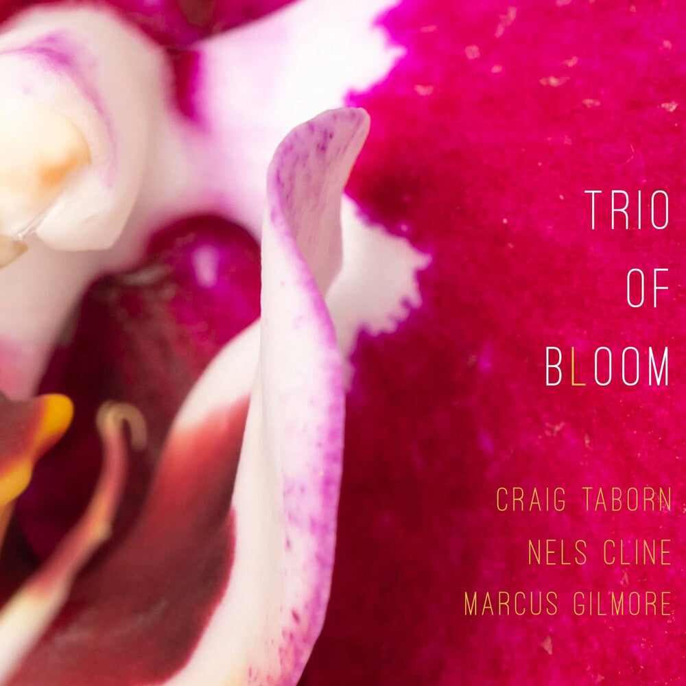 Trio Of Bloom - Trio Of Bloom [CD] [New CD]