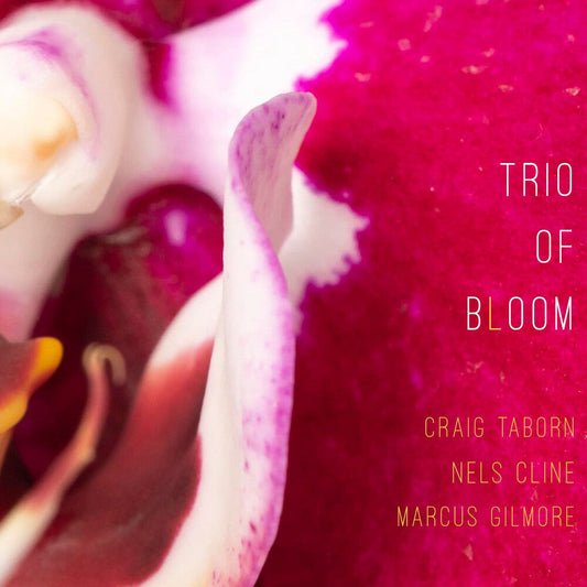 Trio Of Bloom - Trio Of Bloom [CD] [New CD]