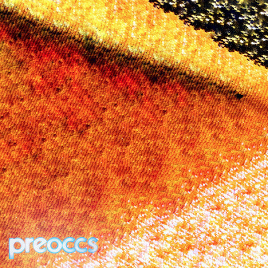 Preoccupations - Mur/Ponr [Colored Vinyl] (Ylw) [New Vinyl]
