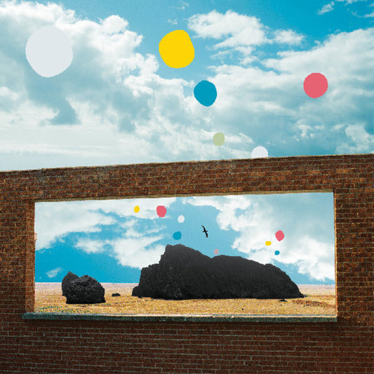Admiral Fallow - First Of The Birds [Colored Vinyl] (Ylw) [Download Included]