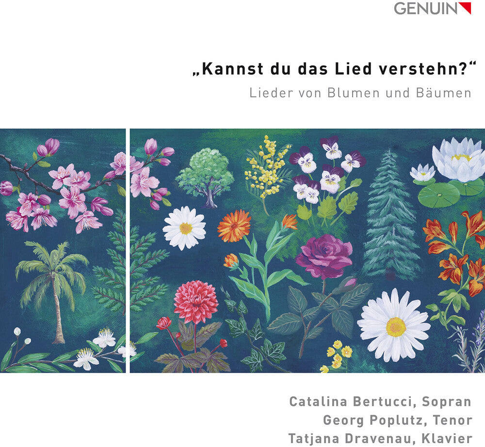Catalina Bertucci - Kannst Du Das Lied Verstehn? [CD] [New CD]