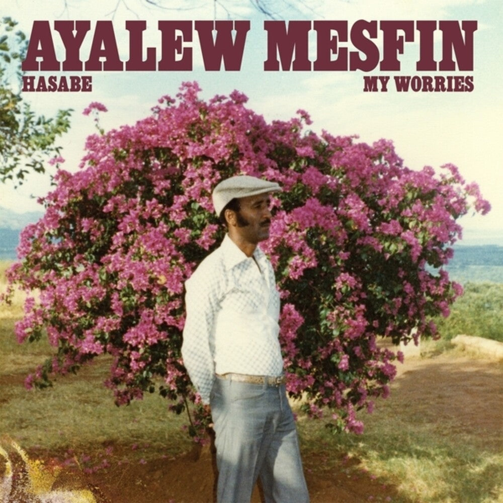 Mesfin, Ayalew - Hasabe - My Worries [LP] [New Vinyl]