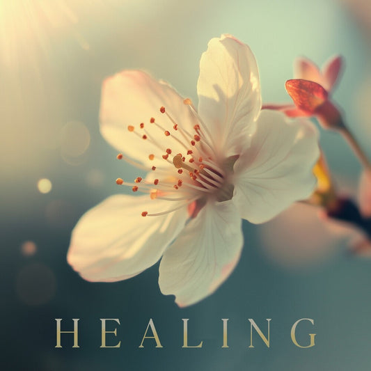 Healing / Various - Healing / Various [CD] [New CD]